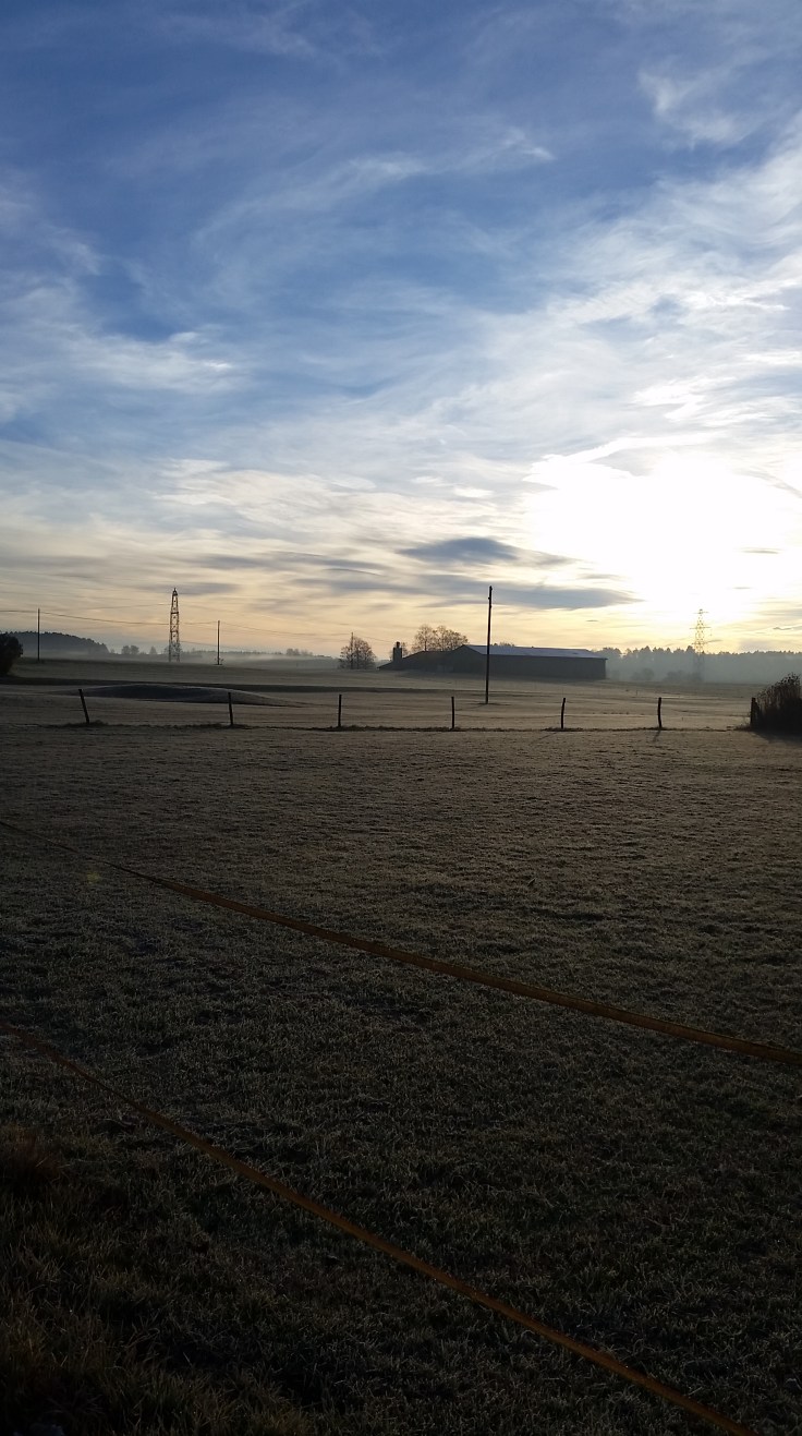 2018-11-06 08.05.49-1